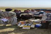 برگزاری اردوی جهاد دامپزشکی در روستای گیلانسر بروجرد